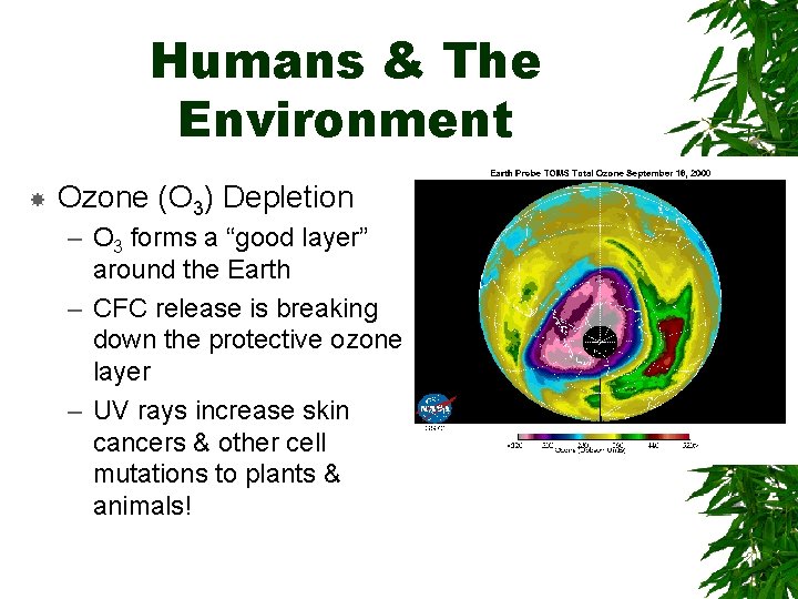 Humans & The Environment Ozone (O 3) Depletion – O 3 forms a “good