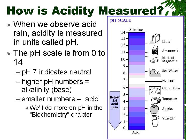 How is Acidity Measured? When we observe acid rain, acidity is measured in units