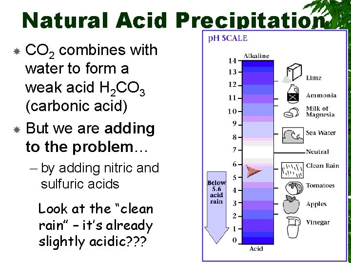 Natural Acid Precipitation CO 2 combines with water to form a weak acid H
