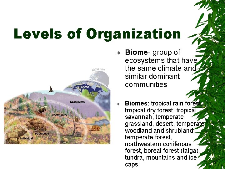 Levels of Organization Biome- group of ecosystems that have the same climate and similar