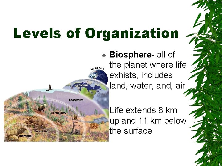 Levels of Organization Biosphere- all of the planet where life exhists, includes land, water,
