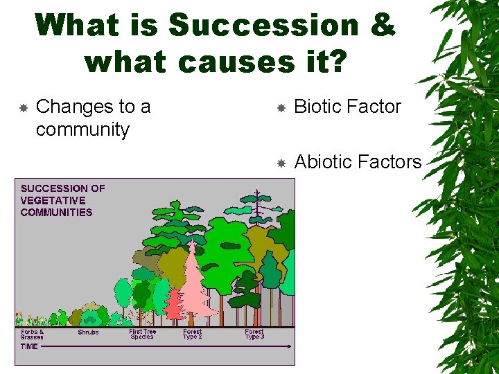 What is Succession & what causes it? Changes to a community Biotic Factor Abiotic