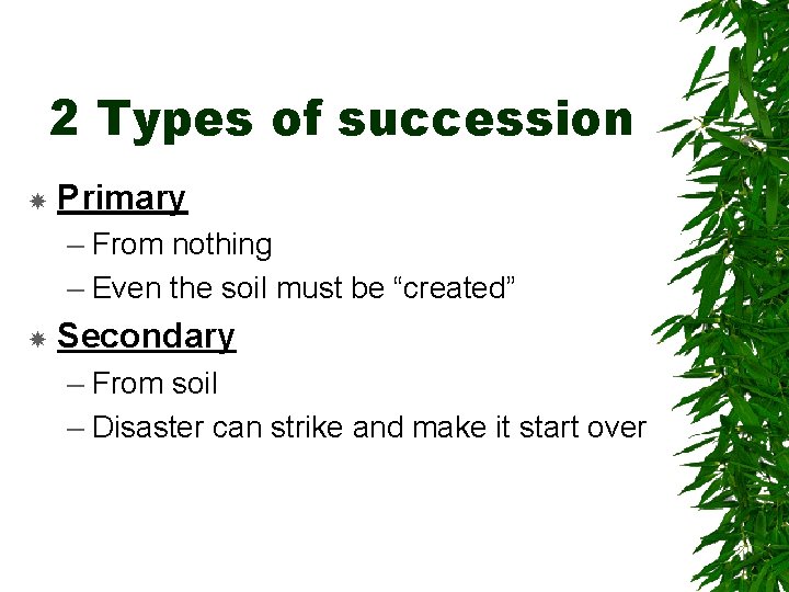 2 Types of succession Primary – From nothing – Even the soil must be