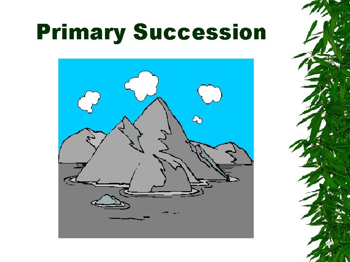 Primary Succession 