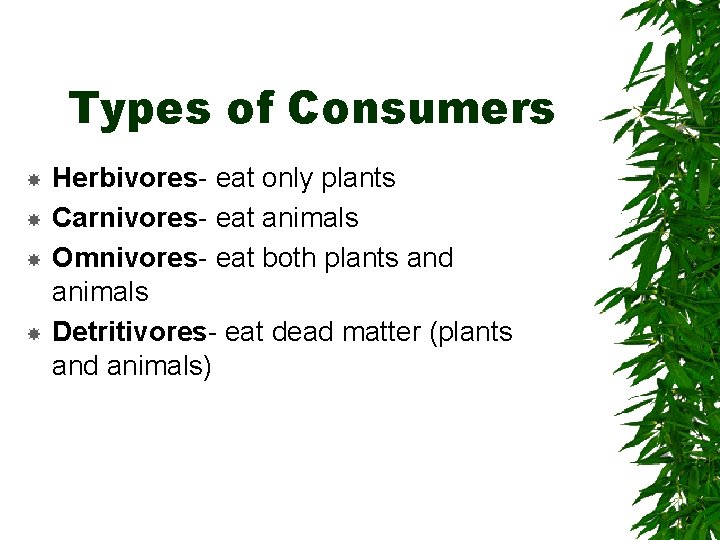 Types of Consumers Herbivores- eat only plants Carnivores- eat animals Omnivores- eat both plants