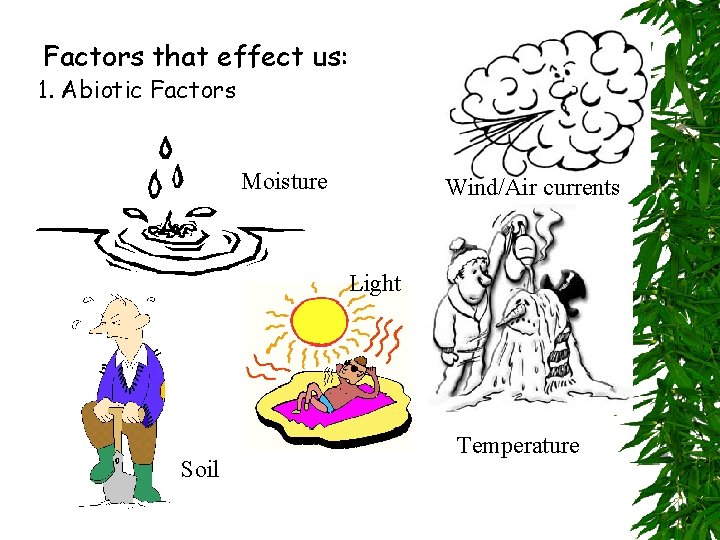Factors that effect us: 1. Abiotic Factors Moisture Wind/Air currents Light Soil Temperature 
