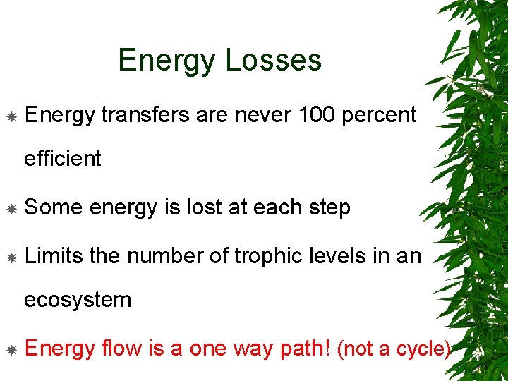 Energy Losses Energy transfers are never 100 percent efficient Some energy is lost at