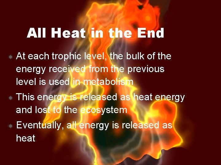All Heat in the End At each trophic level, the bulk of the energy