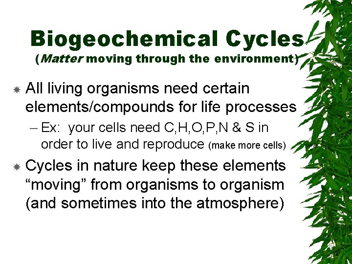 Biogeochemical Cycles (Matter moving through the environment) All living organisms need certain elements/compounds for