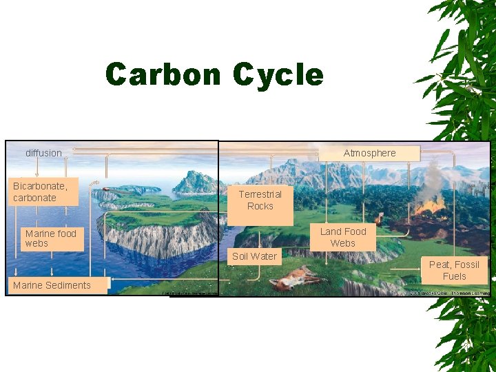 Carbon Cycle diffusion Atmosphere Bicarbonate, volcanic action carbonate Marine food TERRESTRIAL webs ROCKS Terrestrial