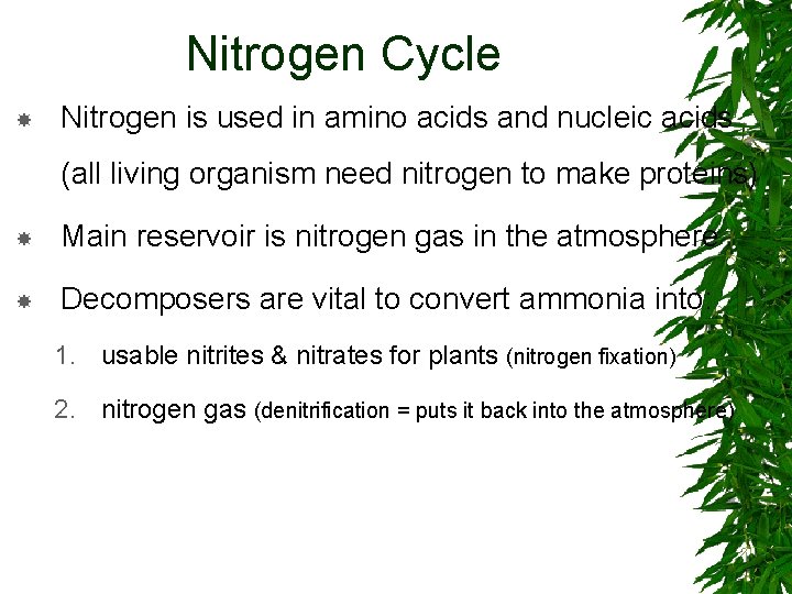 Nitrogen Cycle Nitrogen is used in amino acids and nucleic acids (all living organism