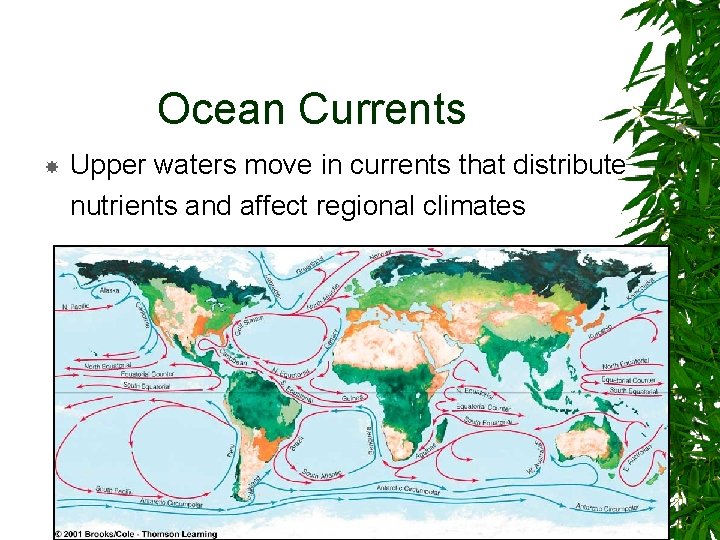 Ocean Currents Upper waters move in currents that distribute nutrients and affect regional climates