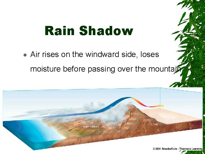 Rain Shadow Air rises on the windward side, loses moisture before passing over the