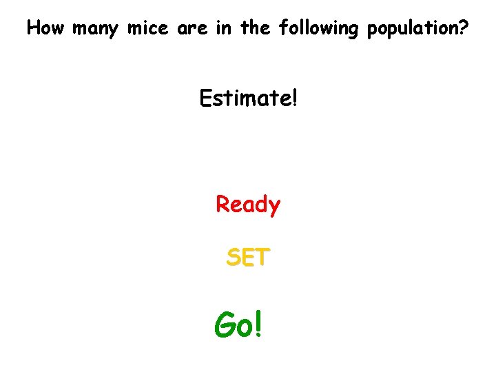 How many mice are in the following population? Estimate! Ready SET Go! 