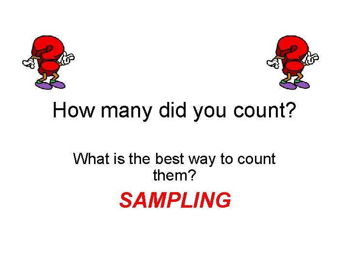 How many did you count? What is the best way to count them? SAMPLING