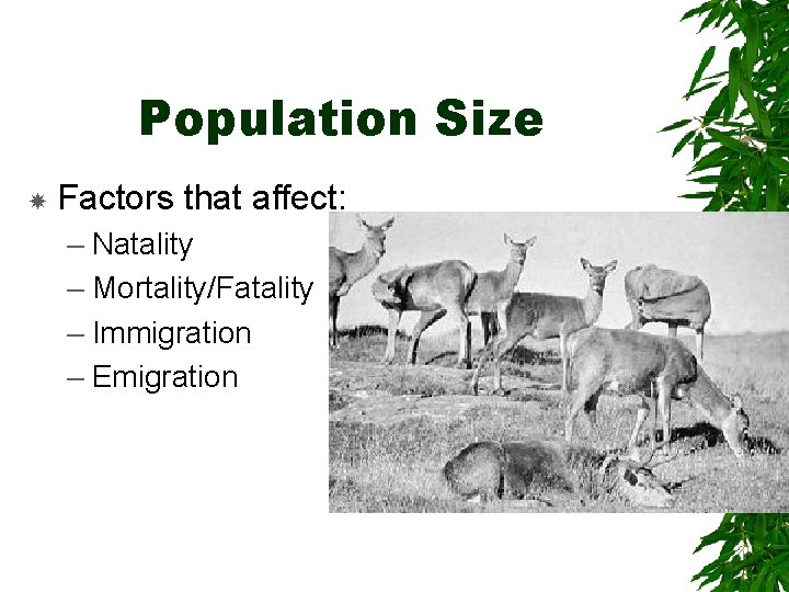Population Size Factors that affect: – Natality – Mortality/Fatality – Immigration – Emigration 