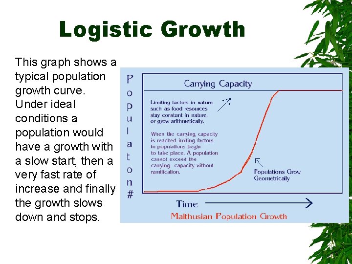 Logistic Growth This graph shows a typical population growth curve. Under ideal conditions a