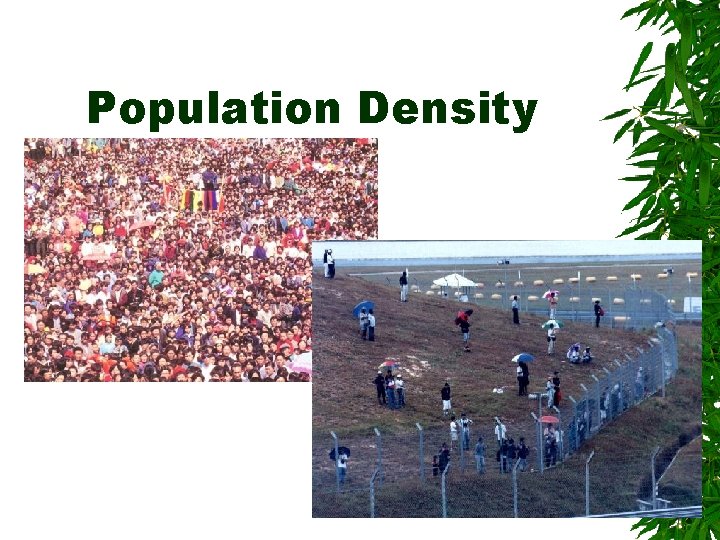 Population Density 