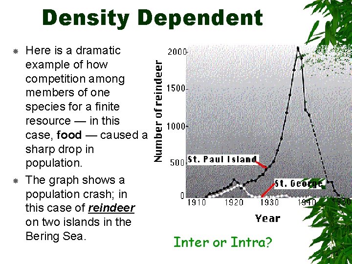 Density Dependent Here is a dramatic example of how competition among members of one