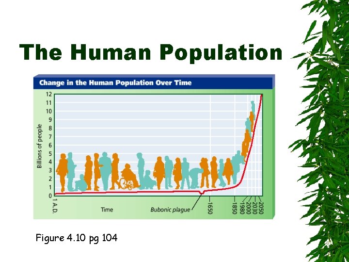 The Human Population Figure 4. 10 pg 104 