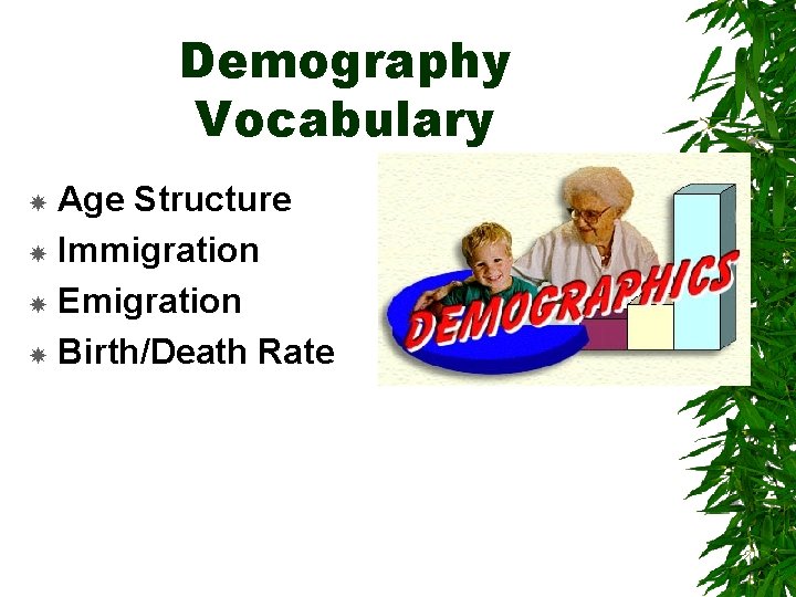 Demography Vocabulary Age Structure Immigration Emigration Birth/Death Rate 