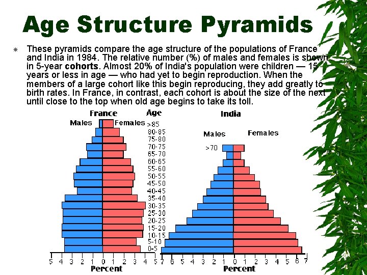 Age Structure Pyramids These pyramids compare the age structure of the populations of France
