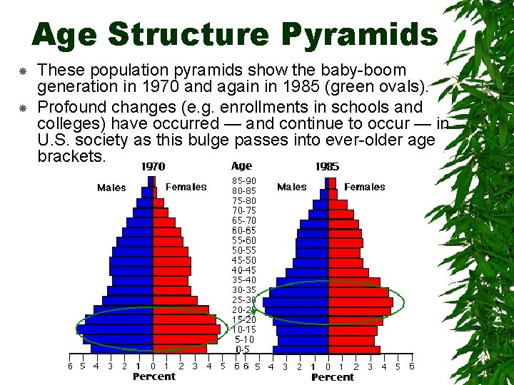 Age Structure Pyramids These population pyramids show the baby-boom generation in 1970 and again