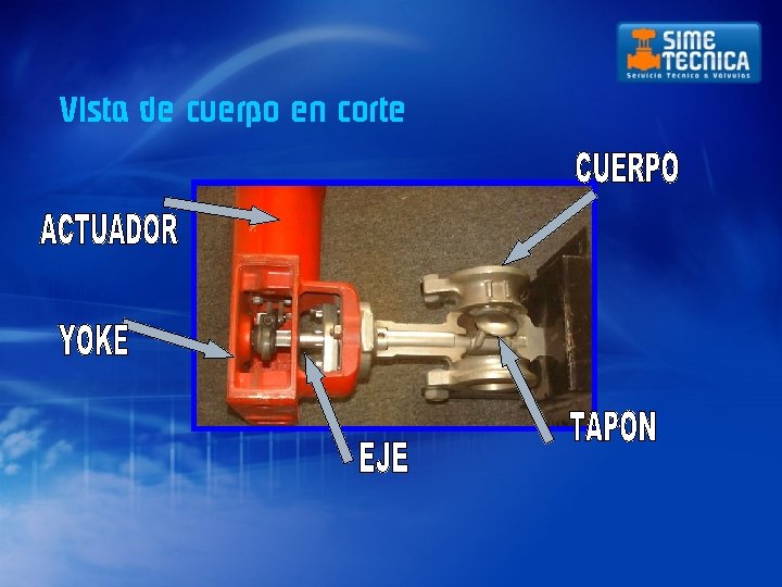 Vista de cuerpo en corte 