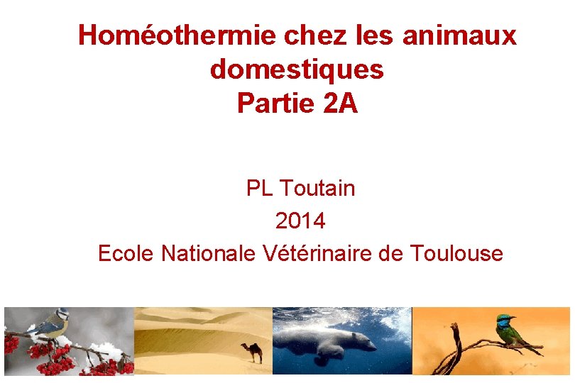 Homéothermie chez les animaux domestiques Partie 2 A PL Toutain 2014 Ecole Nationale Vétérinaire