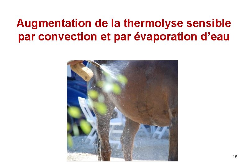 Augmentation de la thermolyse sensible par convection et par évaporation d’eau 15 