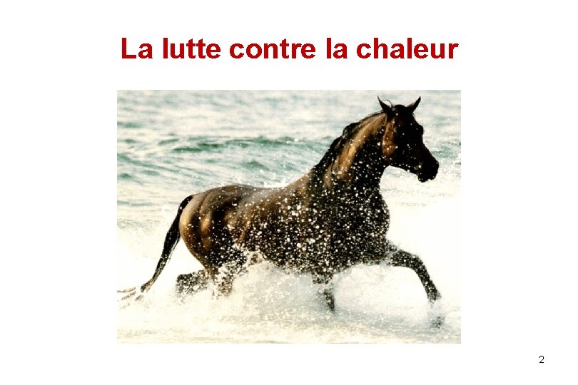 La lutte contre la chaleur 2 