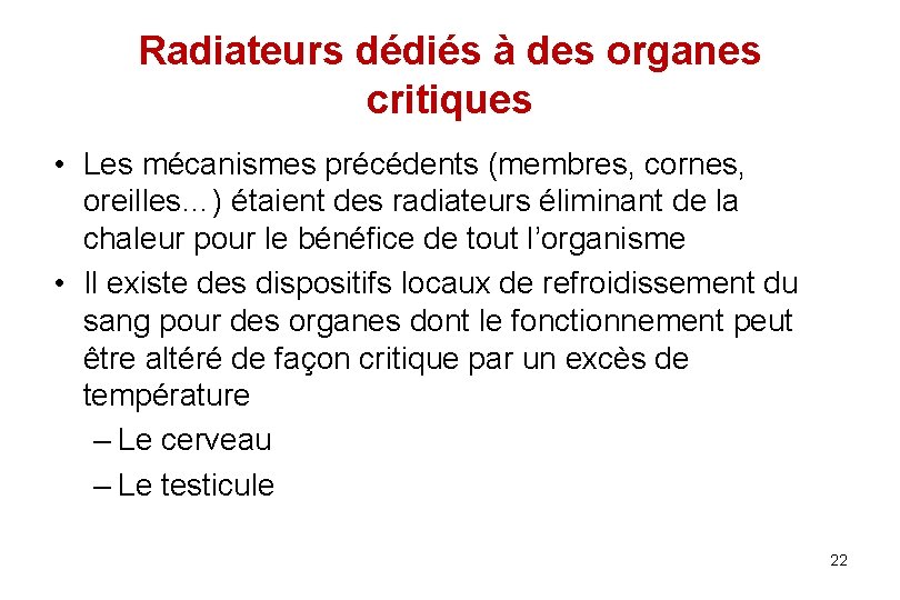 Radiateurs dédiés à des organes critiques • Les mécanismes précédents (membres, cornes, oreilles…) étaient