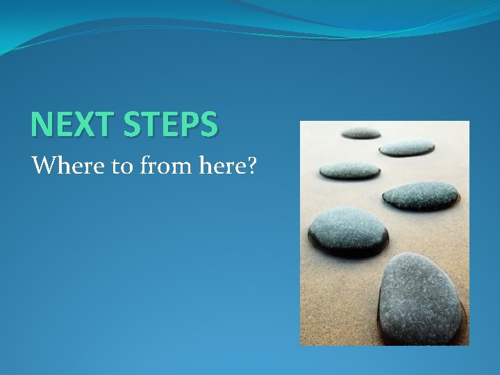 NEXT STEPS Where to from here? 