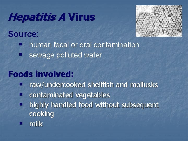 Hepatitis A Virus Source: § human fecal or oral contamination § sewage polluted water