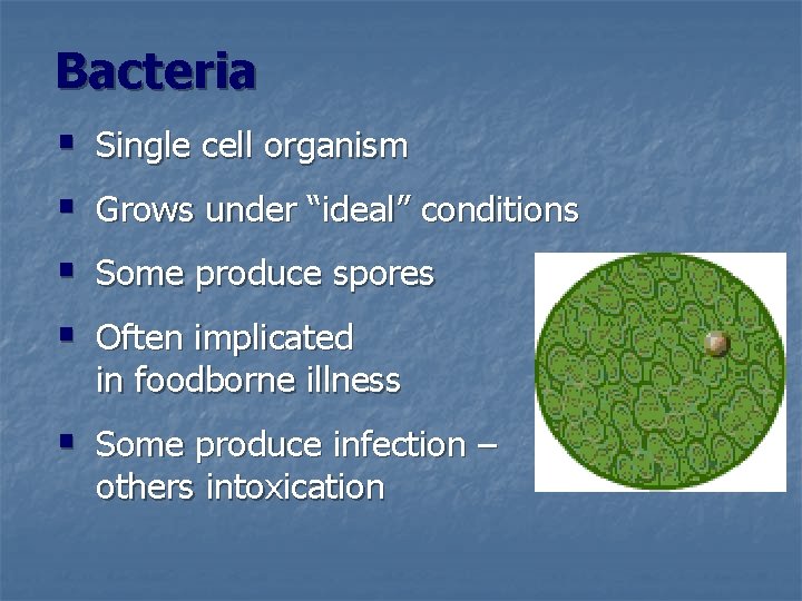 Bacteria § § Single cell organism Grows under “ideal” conditions Some produce spores Often