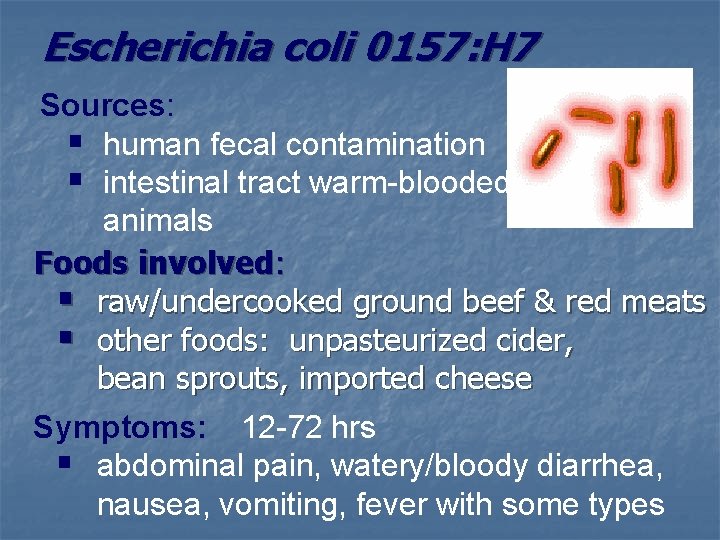 Escherichia coli 0157: H 7 Sources: § human fecal contamination § intestinal tract warm-blooded