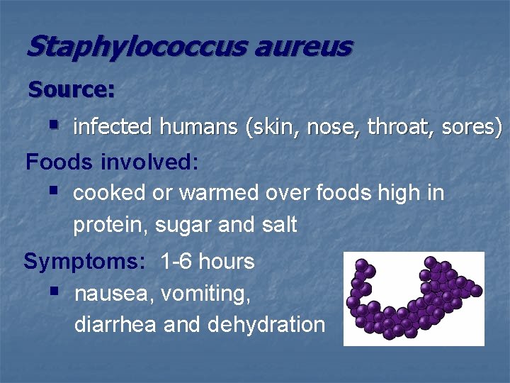 Staphylococcus aureus Source: § infected humans (skin, nose, throat, sores) Foods involved: § cooked