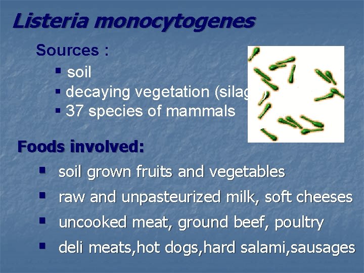 Listeria monocytogenes Sources : § soil § decaying vegetation (silage) § 37 species of