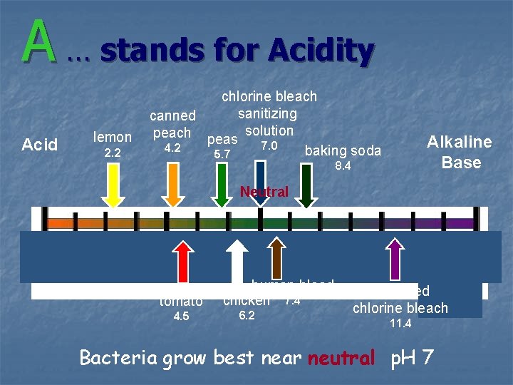 A … stands for Acidity Acid lemon 2. 2 chlorine bleach sanitizing canned peach