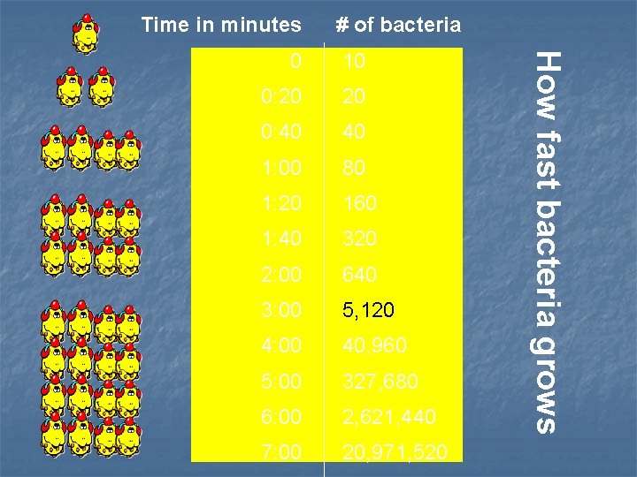 Time in minutes # of bacteria 10 0: 20 20 0: 40 40 1: