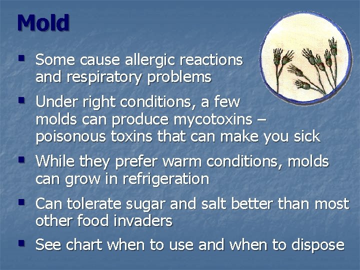 Mold § Some cause allergic reactions and respiratory problems § Under right conditions, a