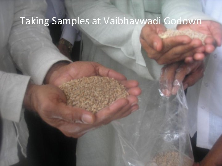 Taking Samples at Vaibhavwadi Godown 