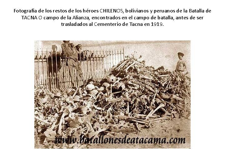 Fotografía de los restos de los héroes CHILENOS, bolivianos y peruanos de la Batalla Fotografía de los restos de los héroes CHILENOS, bolivianos y peruanos de la Batalla