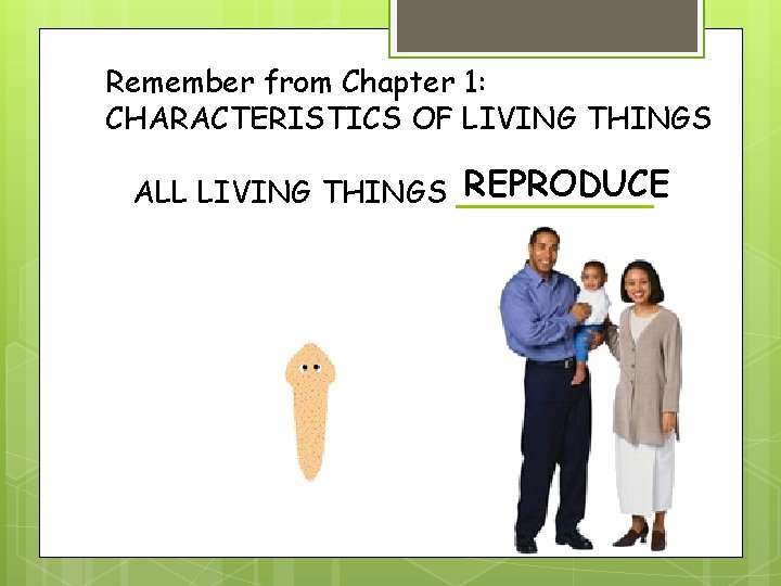 Remember from Chapter 1: CHARACTERISTICS OF LIVING THINGS REPRODUCE ALL LIVING THINGS _____ Remember from Chapter 1: CHARACTERISTICS OF LIVING THINGS REPRODUCE ALL LIVING THINGS _____