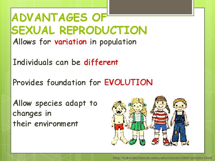 ADVANTAGES OF SEXUAL REPRODUCTION Allows for variation in population Individuals can be different Provides ADVANTAGES OF SEXUAL REPRODUCTION Allows for variation in population Individuals can be different Provides