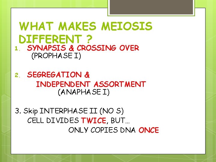WHAT MAKES MEIOSIS DIFFERENT ? 1. SYNAPSIS & CROSSING OVER (PROPHASE I) 2. SEGREGATION WHAT MAKES MEIOSIS DIFFERENT ? 1. SYNAPSIS & CROSSING OVER (PROPHASE I) 2. SEGREGATION