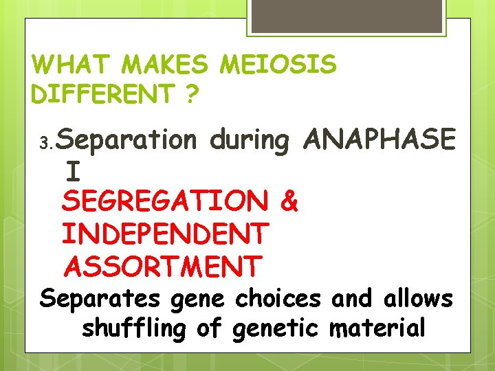 WHAT MAKES MEIOSIS DIFFERENT ? 3. Separation during ANAPHASE I SEGREGATION & INDEPENDENT ASSORTMENT WHAT MAKES MEIOSIS DIFFERENT ? 3. Separation during ANAPHASE I SEGREGATION & INDEPENDENT ASSORTMENT