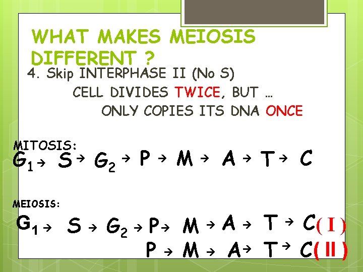 WHAT MAKES MEIOSIS DIFFERENT ? 4. Skip INTERPHASE II (No S) CELL DIVIDES TWICE, WHAT MAKES MEIOSIS DIFFERENT ? 4. Skip INTERPHASE II (No S) CELL DIVIDES TWICE,