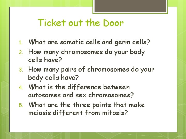 Ticket out the Door 1. 2. 3. 4. 5. What are somatic cells and Ticket out the Door 1. 2. 3. 4. 5. What are somatic cells and