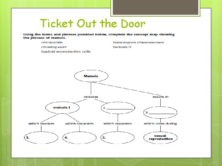 Ticket Out the Door Ticket Out the Door